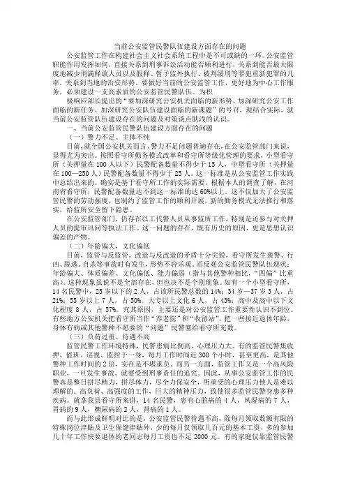 当前公安监管民警队伍建设方面存在的问题