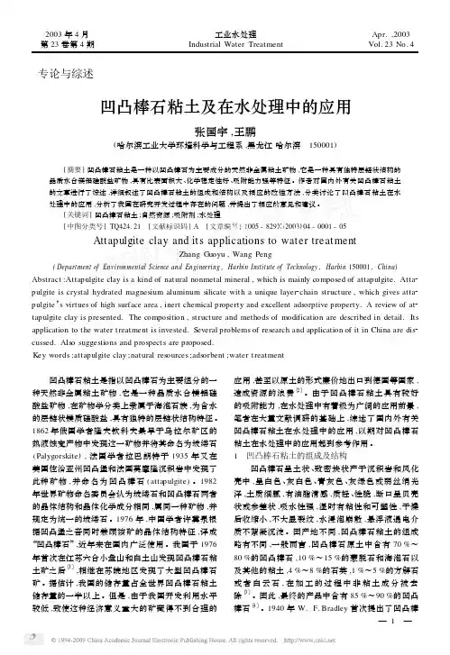 凹凸棒石粘土及在水处理中的应用