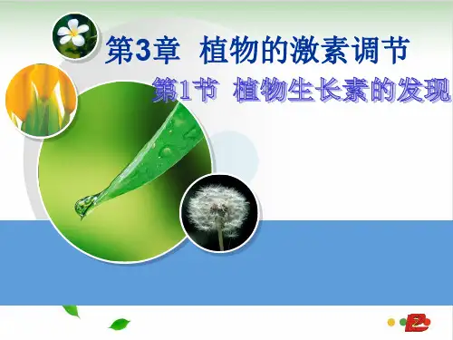 植物的激素调节〔完美版〕
