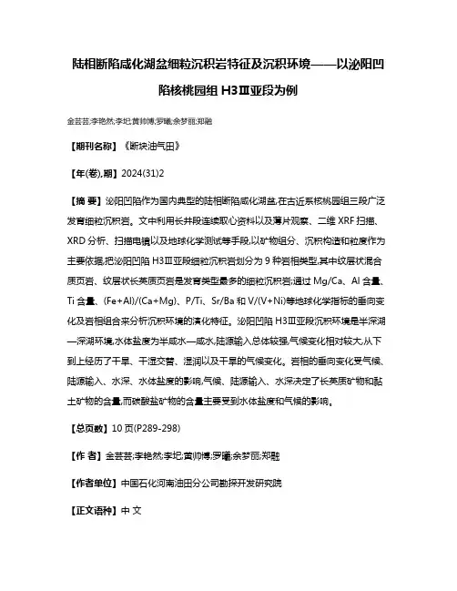 陆相断陷咸化湖盆细粒沉积岩特征及沉积环境——以泌阳凹陷核桃园组H3Ⅲ亚段为例