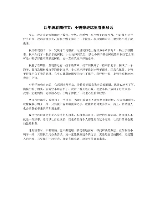 四年级看图作文：小鸭掉进坑里看图写话