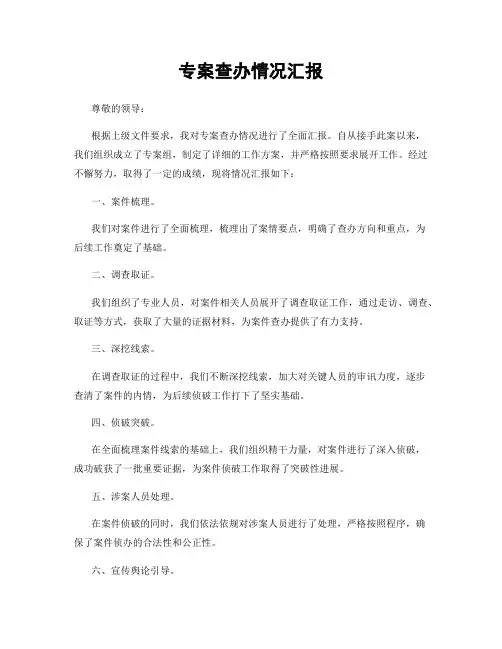 专案查办情况汇报