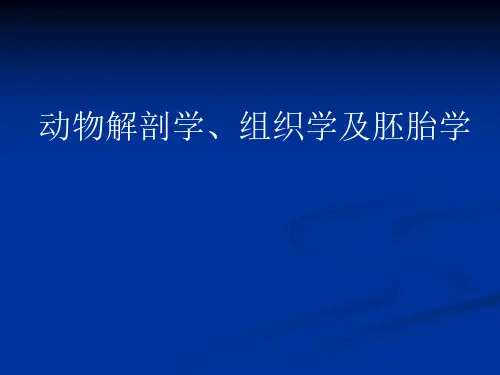 1.执业兽医资格证考试解剖学课件