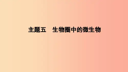 山东省2019年中考生物主题复习五生物圈中的微生物课件济南版PPT