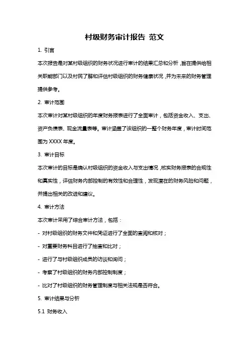 村级财务审计报告 范文