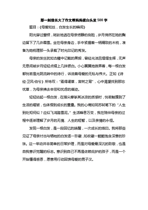 那一刻我长大了作文帮妈妈拨白头发500字