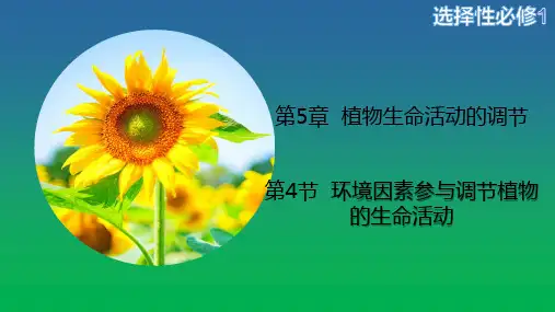 植物生命活动的调节