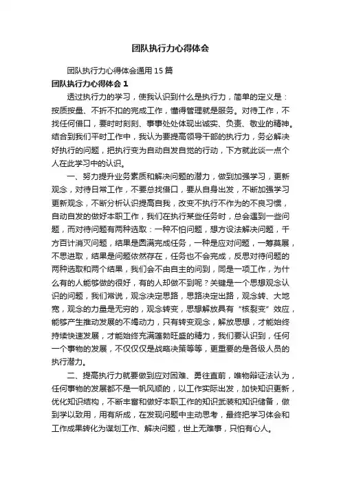团队执行力心得体会通用15篇