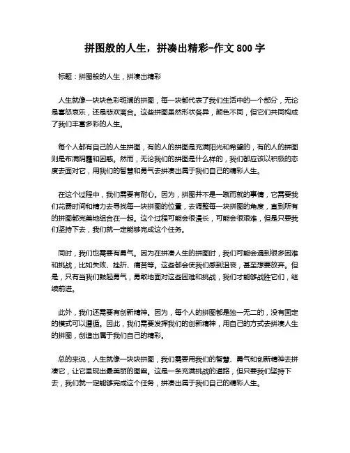 拼图般的人生,拼凑出精彩-作文800字