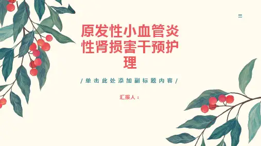 原发性小血管炎性肾损害干预护理