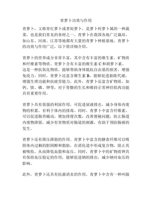 青萝卜功效与作用
