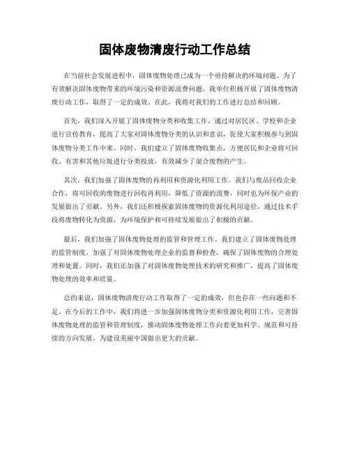 固体废物清废行动工作总结