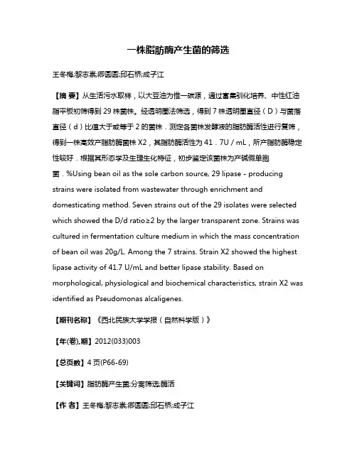 一株脂肪酶产生菌的筛选