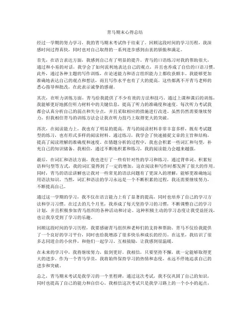 青马期末心得总结