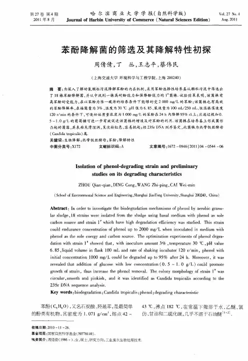 苯酚降解菌的筛选及其降解特性初探