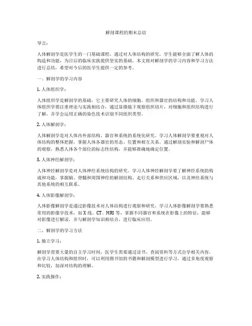 解剖课程的期末总结