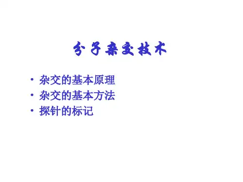 《病理学》分子杂交技术