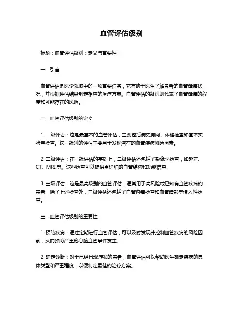 血管评估级别