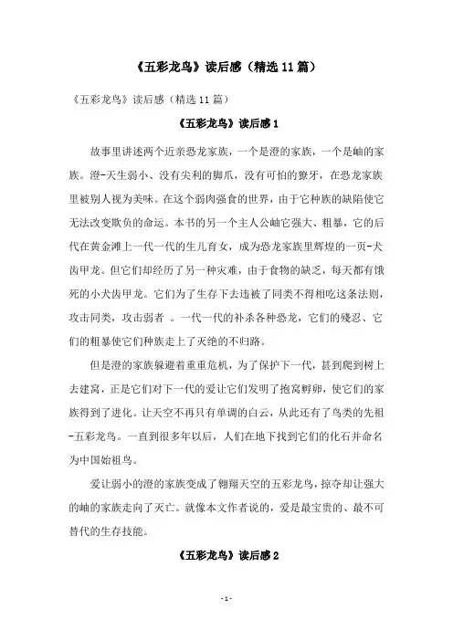 《五彩龙鸟》读后感(精选11篇)