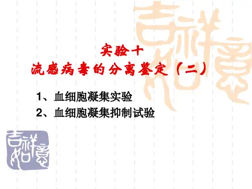 流感病毒的分离鉴定(二)