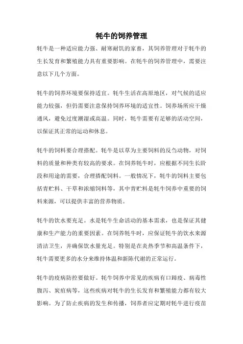 牦牛的饲养管理