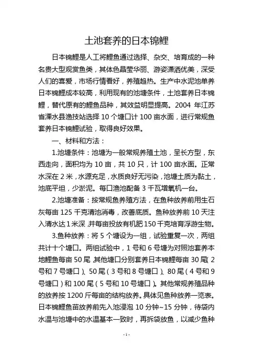 土池套养的日本锦鲤