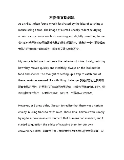 看图作文捉老鼠