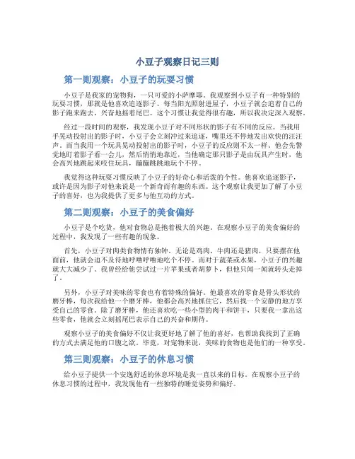 小豆子观察日记三则