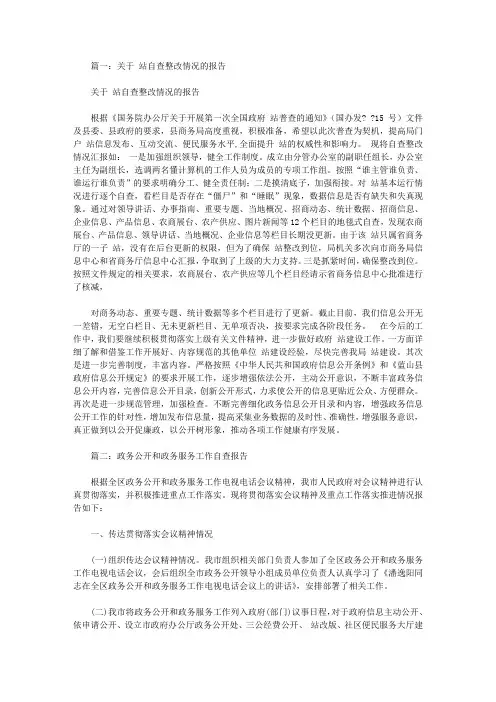 政府信息公开工作自查整改措施报告