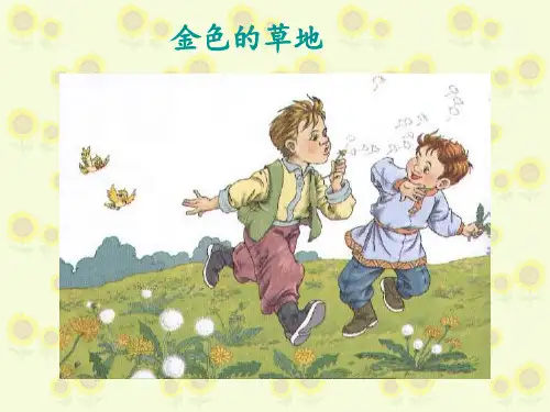 《金色的草地》优秀 ppt课件