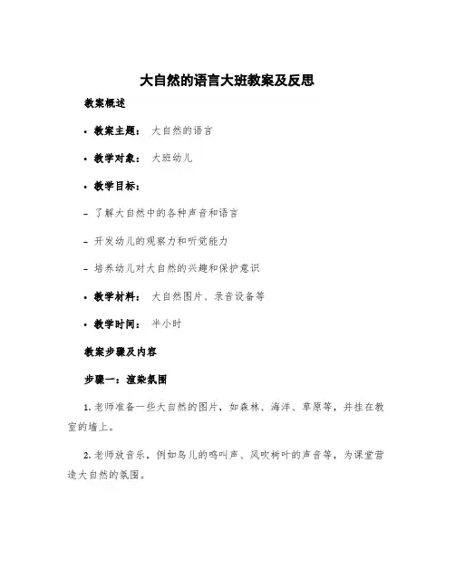 《大自然的语言》大班教案及反思 大自然的语言大班语言教案