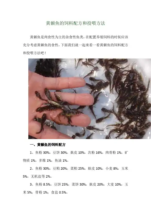 黄颡鱼的饲料配方和投喂方法