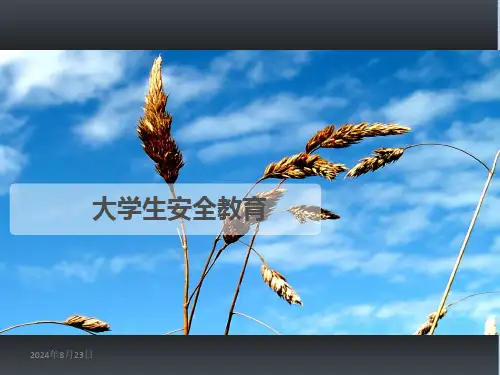 大学生安全教育完整版课件全套ppt教程最全合集全文