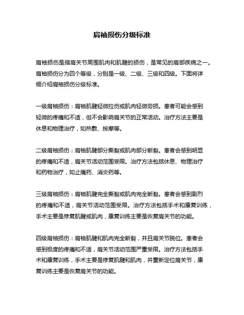 肩袖损伤分级标准