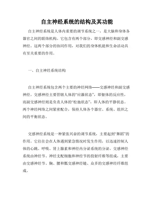 自主神经系统的结构及其功能