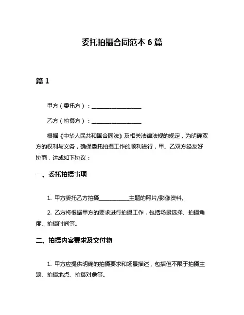 委托拍摄合同范本6篇