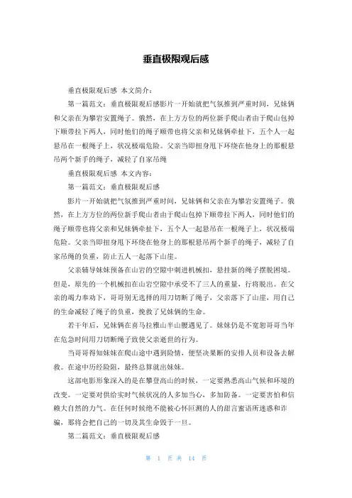 垂直极限观后感