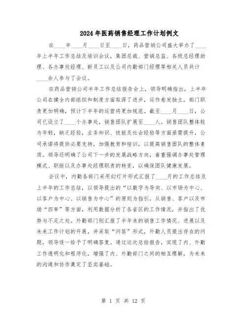 2024年医药销售经理工作计划例文（6篇）