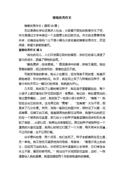 雏菊优秀作文