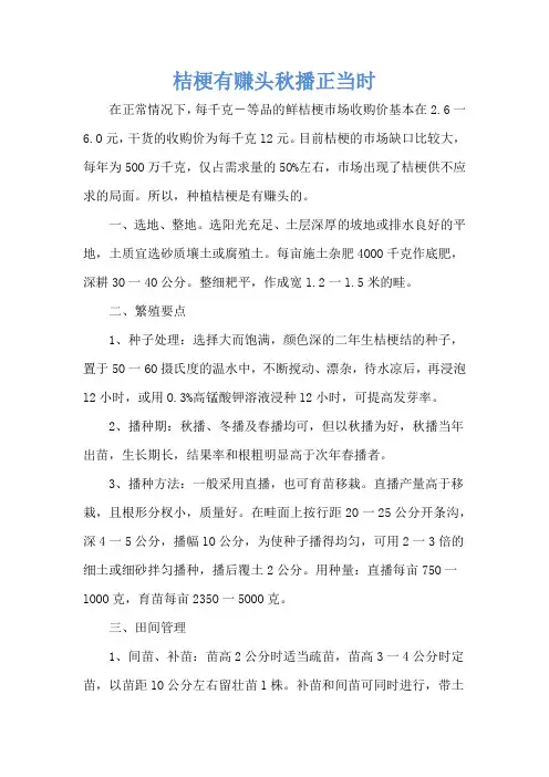 桔梗有赚头秋播正当时
