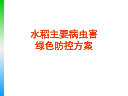 水稻主要病虫害绿色防控方案课件