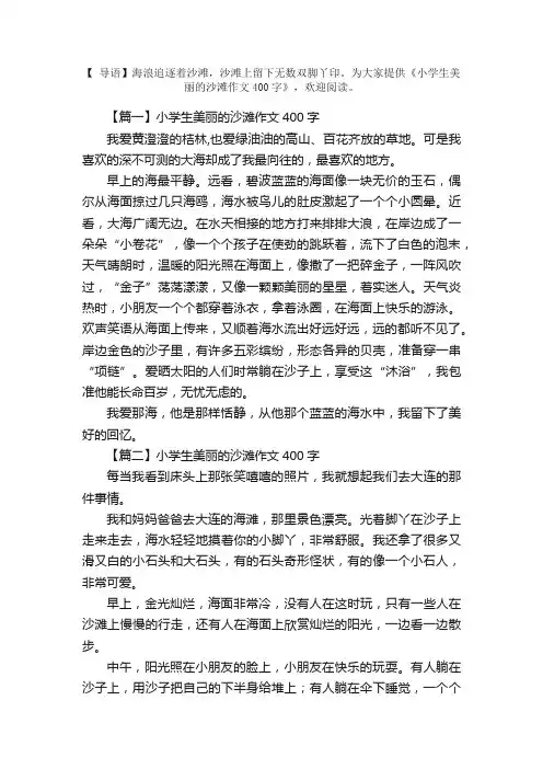 小学生美丽的沙滩作文400字