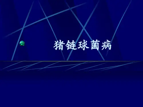 人猪链球菌病