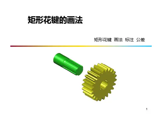 矩形花键的画法与标注ppt课件