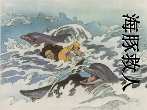 语文s版五下《海豚救人》(1)