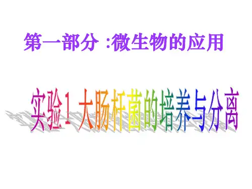 实验1-大肠杆菌的培养与分离