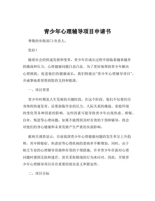 青少年心理辅导项目申请书