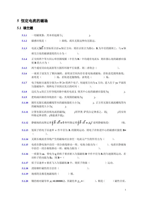 恒定电流的磁场