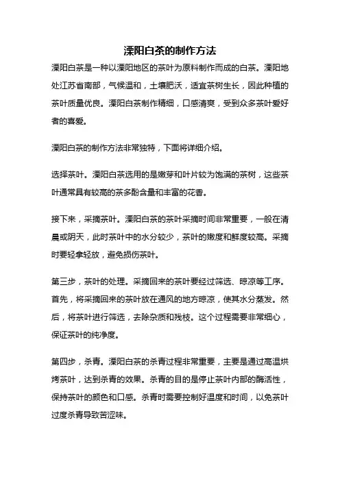 溧阳白茶的制作方法