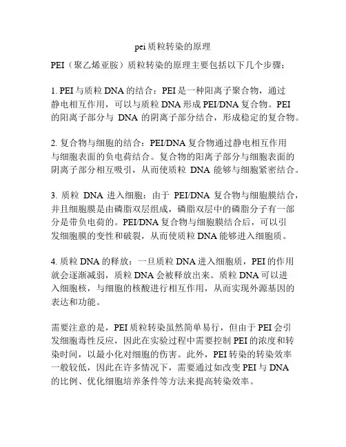 pei质粒转染的原理